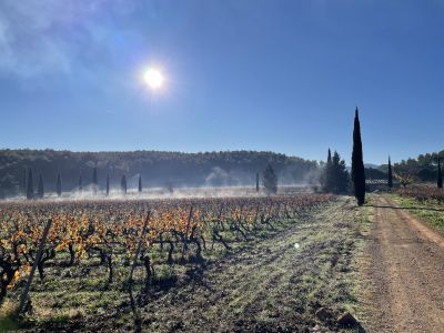 EVS-CDP_paysage.jpeg